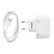 BlueStar Lightning travel charger 1A iPad