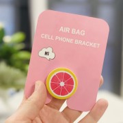 OEM Air Bag Cell Phone Bracket