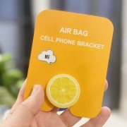 OEM Air Bag Cell Phone Bracket