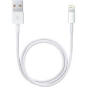 Apple 0.5M ME291ZM/A USB to
