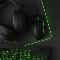 Mouse and Keyboard Gaming Pad with RGB Led Lights (10 modes) peles un klaviatūras paliktnis ar RGB Led apgaismojumu, 800 mm x 300 mm x 3 mm - Melns