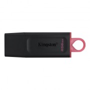 Kingston DataTraveler Exodia Flash Drive 256GB