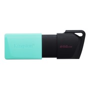 Kingston DataTraveler Exodia M Flash Drive